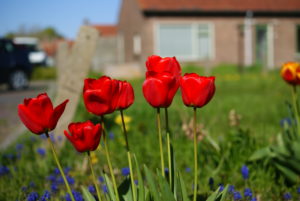 Olster Erfgoed | Roy de Brouwer