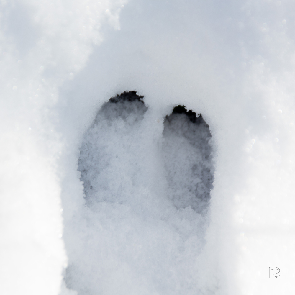 Klompen in de sneeuw