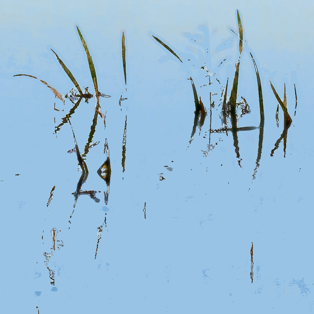 Natuurgedicht Natuurgedicht