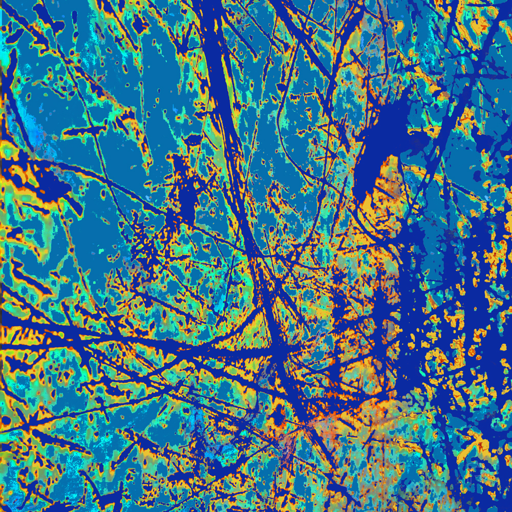 Pollock aan de ijssel Pollock aan de ijssel