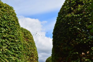 Begraafplaats Olst 2022, Daniël Loos