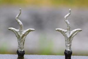 Begraafplaats Olst 2022, Daniël Loos