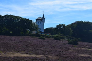 Sallandse heuvelrug Haarleberg Daniël Loos