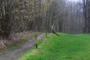 Olst Hoenlo , Daniël Loos