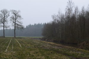 Olst Hoenlo , Daniël Loos