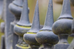 Olst Hoenlo , Daniël Loos