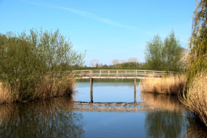 Olst . Park Vijfenhof burg 1 .JJ Hissnk