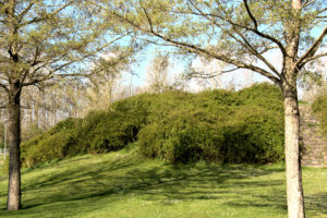 Olst . Park Vijfenhof doorkijk .JJ Hissnk