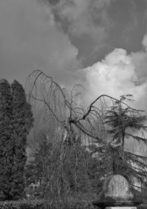 Olst . Oude begraafplaast tak . JJ Hissink