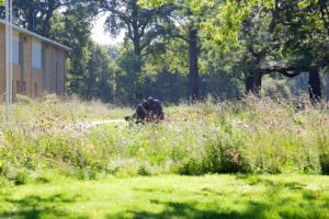 Twello, beeld in tuin gemeentehuis, P.Roelofs