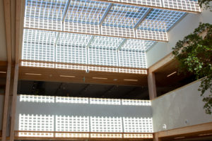 Twello, plafond gemeentehuis-2, P.Roelofs