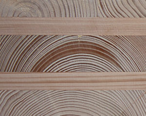 Twello,motief in balken gemeentehuis-2, P.Roelofs