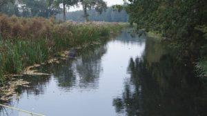 Olst, Hoenlo Sloot, Roy Brouwer