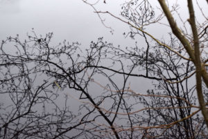 Olst Hoenlo , Daniël Loos