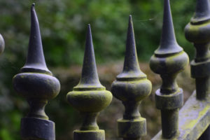 Olst Hoenlo , Daniël Loos