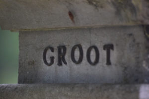 Olst Hoenlo , Daniël Loos